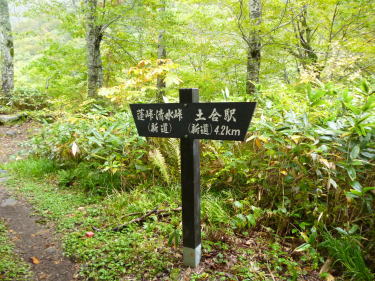 新道への分岐