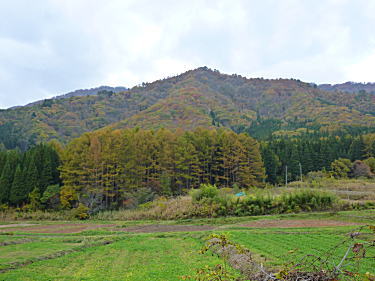 里山の風