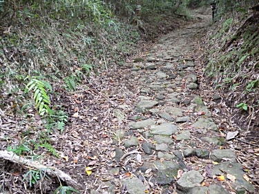 湯坂路は鎌倉古道