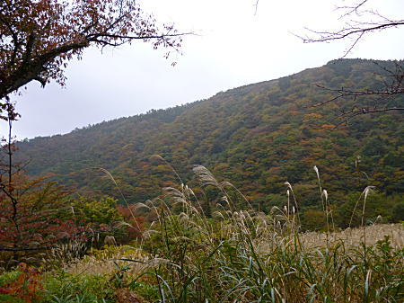 紅葉の山
