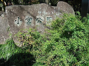 小宮公園案内図
