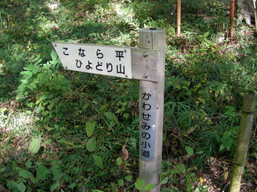 標識
