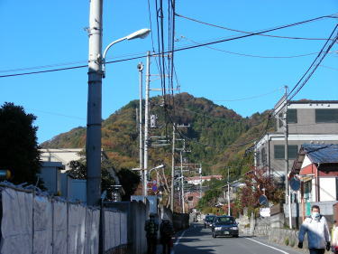 バス道1