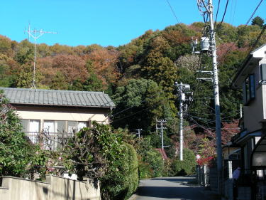 駒木野