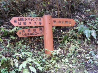 キャンプ場の先の分岐