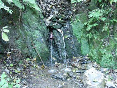 水場1