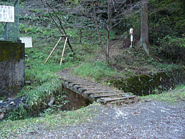 もみじ平への分岐かな?