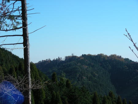 高尾山が見えます。