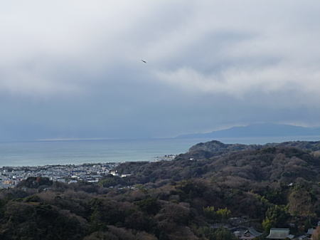 鎌倉の海が望めます