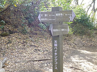 覚園寺への分岐