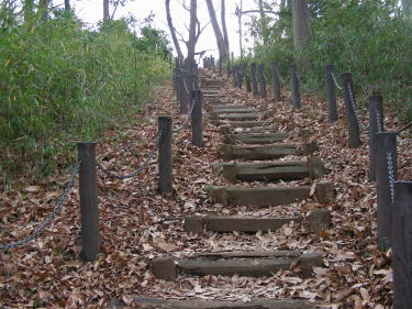 赤塚城址階段