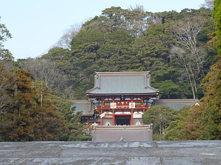 鶴が岡八幡宮