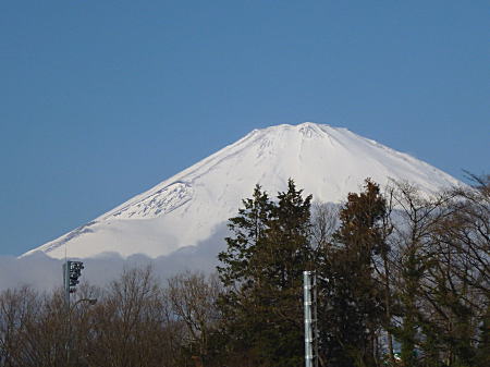 足柄SAからの富士山