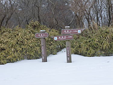 達磨山、伽藍山登山口