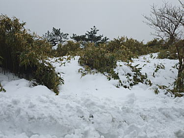 雪が深い