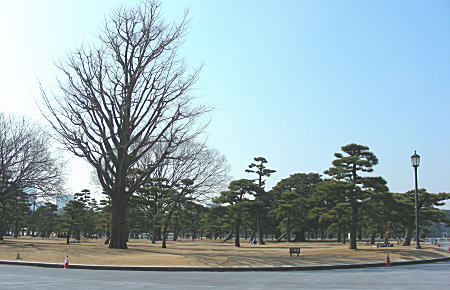 皇居外苑