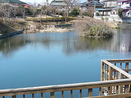 今泉の湧水