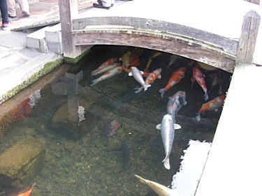 얞̌