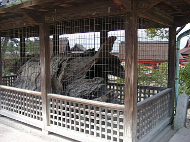 後白河法皇行幸松2