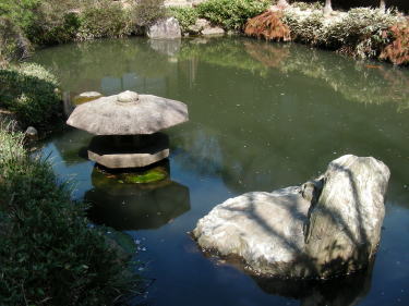 和室前の池