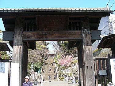 池上本門寺 総門