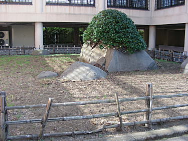 龍子記念館庭