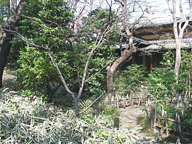 画室前庭園1