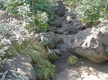 枯山水の石