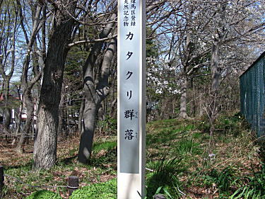清水山憩いの森入口