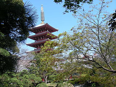 五重塔が見えます。