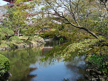 池2