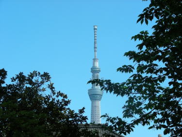 スカイツリー
