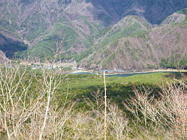 西湖と樹海