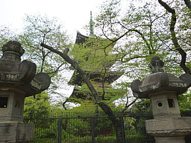 旧寛永寺の五重塔