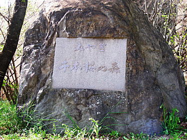 千本桜の森