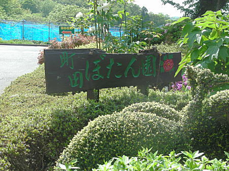 ڂ