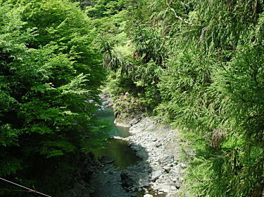 下流側の渓谷