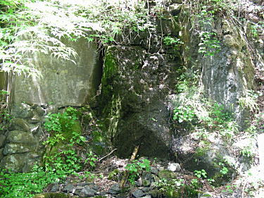 馬の水飲み場