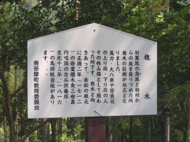 槐木説明板