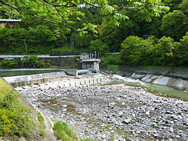 酒匂川を渡ります。