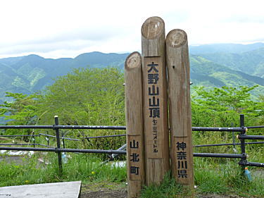 山頂の標識 732m