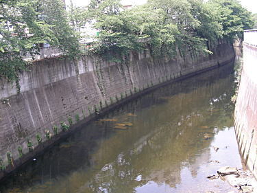 神田川
