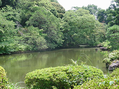立派な池