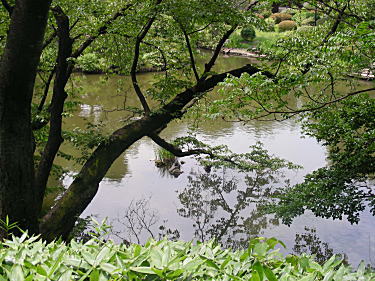 池が見渡せます。