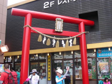 富士山大社の鳥居