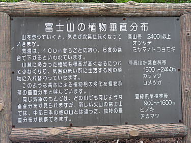 植物の垂直分布の説明