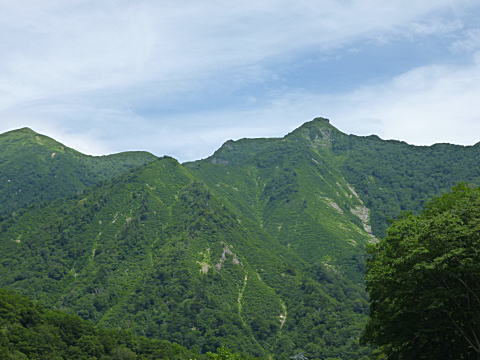 白毛門かな?