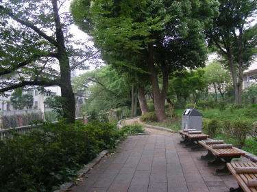 散歩道です。