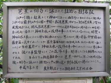 芭蕉の俳句に詠まれた植物の樹名板