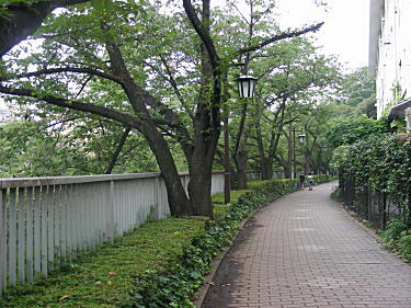 川沿いの道